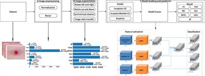 Detection algorithm for pigmented skin disease based on classifier-level and feature-level fusion